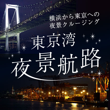 東京湾夜景航路