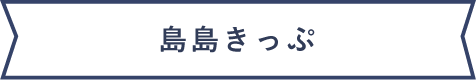 お得な大島往復きっぷ