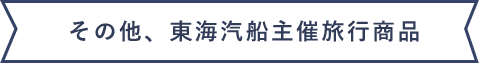 その他、東海汽船主催旅行商品