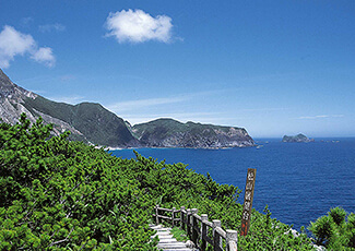 松山遊歩道