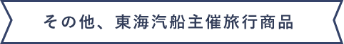 その他、東海汽船主催旅行商品