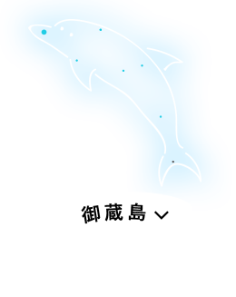 伊豆諸島プラネタリウムアイランド 船旅 ツアー 東海汽船