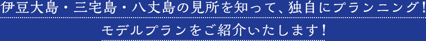 伊豆大島・三宅島・八丈島の見所を知って、独自にプランニング！モデルプランをご紹介いたします！