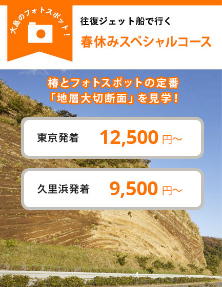 往復ジェット船で行く 椿園と大自然の神秘! “巨大バームクーヘン”コース