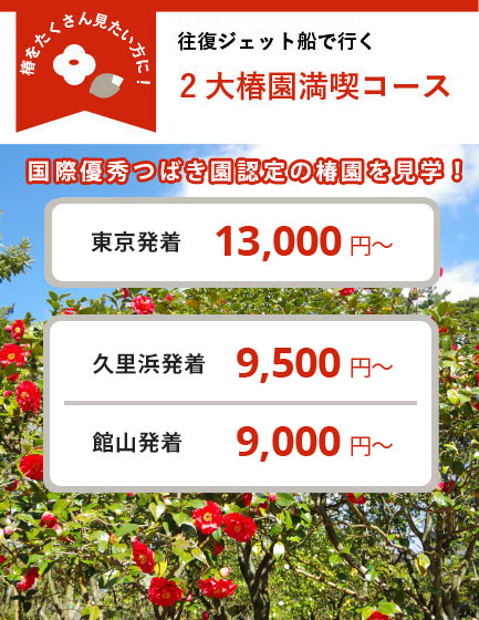 往復ジェット船で行く 椿まつりの定番! 2大椿園満喫コース