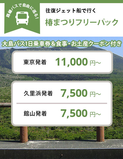 往復ジェット船で行く 椿まつりの定番! 2大椿園満喫コース