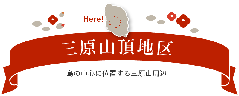 三原山頂地区 島の中心に位置する三原山周辺