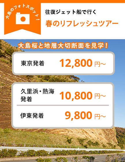 往復ジェット船で行く 春のリフレッシュツアー