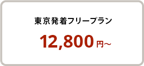 東京発着フリープラン 12,800円〜
