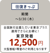 往復きっぷ 〜3/30（木）全国旅行支援ただいま東京プラス適用でさらにお得に！ 東京発着 12,500円 大型客船1等室のご利用となります