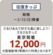 往復きっぷ 〜3/31（日）東京発着 12,000円
