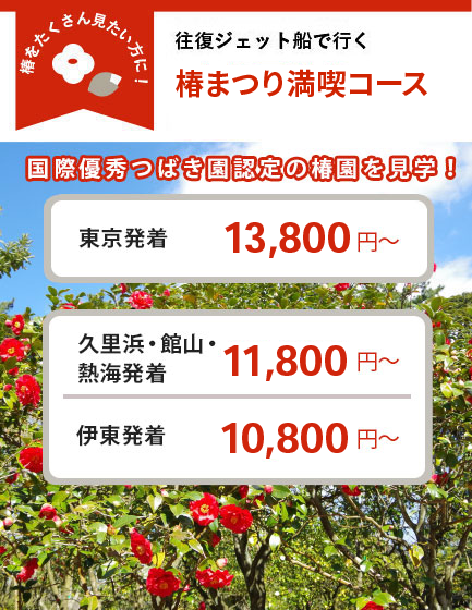 往復ジェット船で行く 2大椿園満喫コース