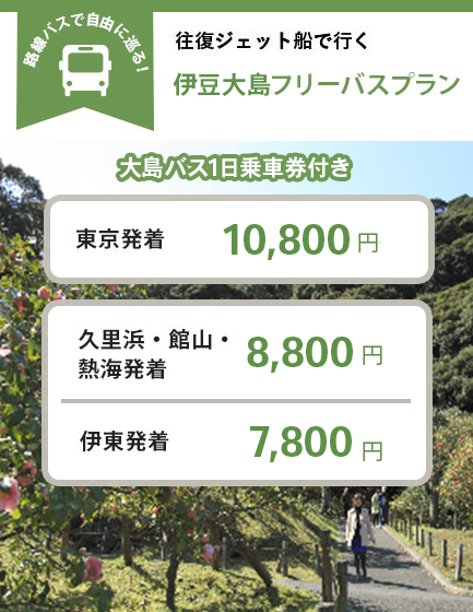 往復ジェット船で行く 椿まつりフリーパス