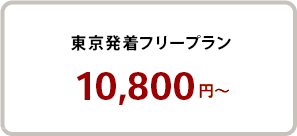 東京発着フリープラン 10,800円〜