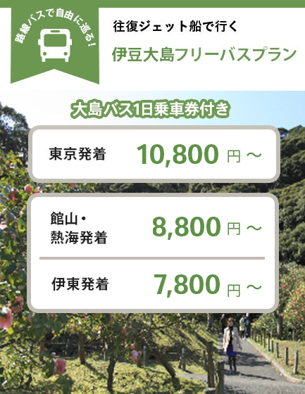 往復ジェット船で行く 椿まつりフリーパス