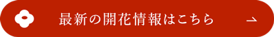 最新情報はこちら