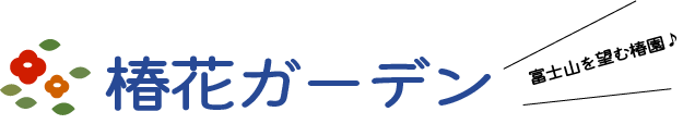 椿花ガーデン 富士山を望む椿園♪