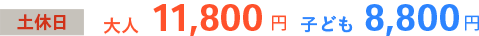 土休日 大人11,800円 子ども8,800円