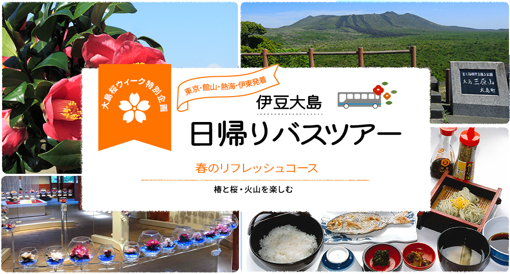 春のリフレッシュコース 椿と桜・火山を楽しむ