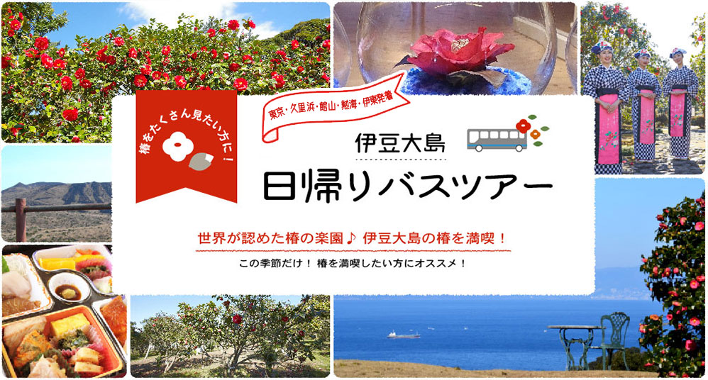 椿をたくさん見たい方に!東京発着 伊豆大島日帰りバスツアー 世界が認めた椿の楽園♪ 伊豆大島の椿を満喫!この季節だけ! 椿を満喫したい方にオススメ!
