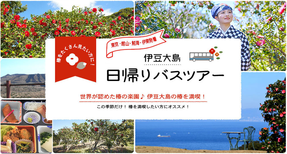 椿をたくさん見たい方に！東京発着 伊豆大島日帰りバスツアー 世界が認めた椿の楽園♪ 伊豆大島の椿を満喫！この季節だけ！ 椿を満喫したい方にオススメ！