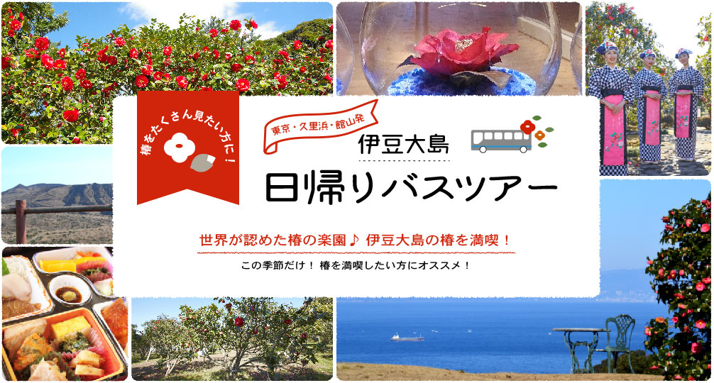 椿をたくさん見たい方に!東京発着 伊豆大島日帰りバスツアー 世界が認めた椿の楽園♪ 伊豆大島の椿を満喫!この季節だけ! 椿を満喫したい方にオススメ!