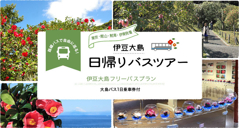 大島のフォトスポット！東京・久里浜発着 伊豆大島日帰りバスツアー 伊豆大島フリーバスプラン 大島バス1日乗船券付