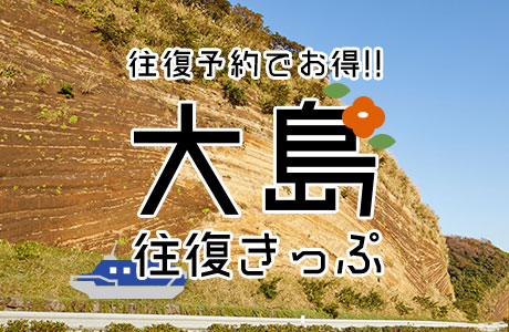 大島往復きっぷ